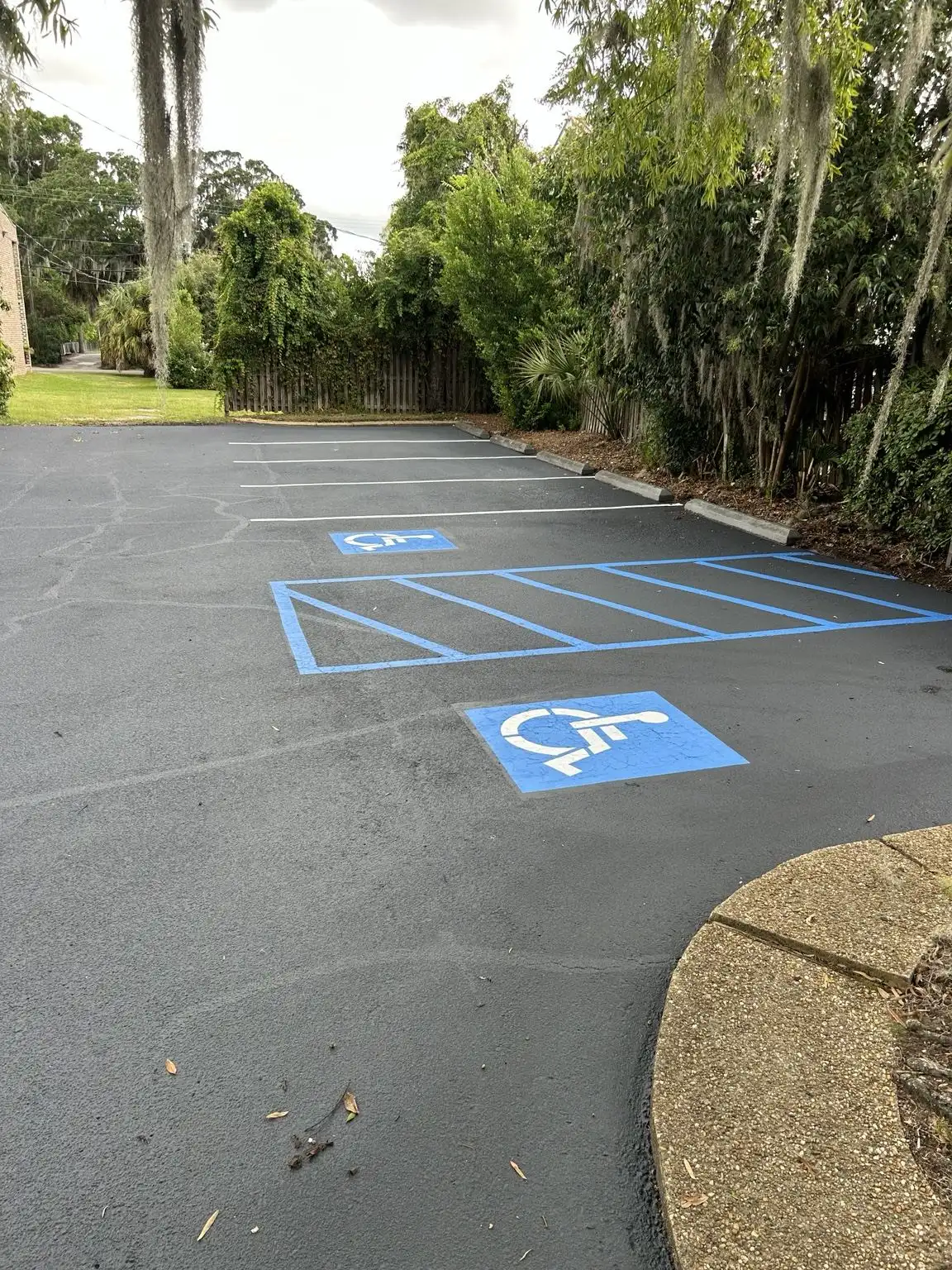 ADA parking space and blue striped access aisle in a landscaped commercial lot