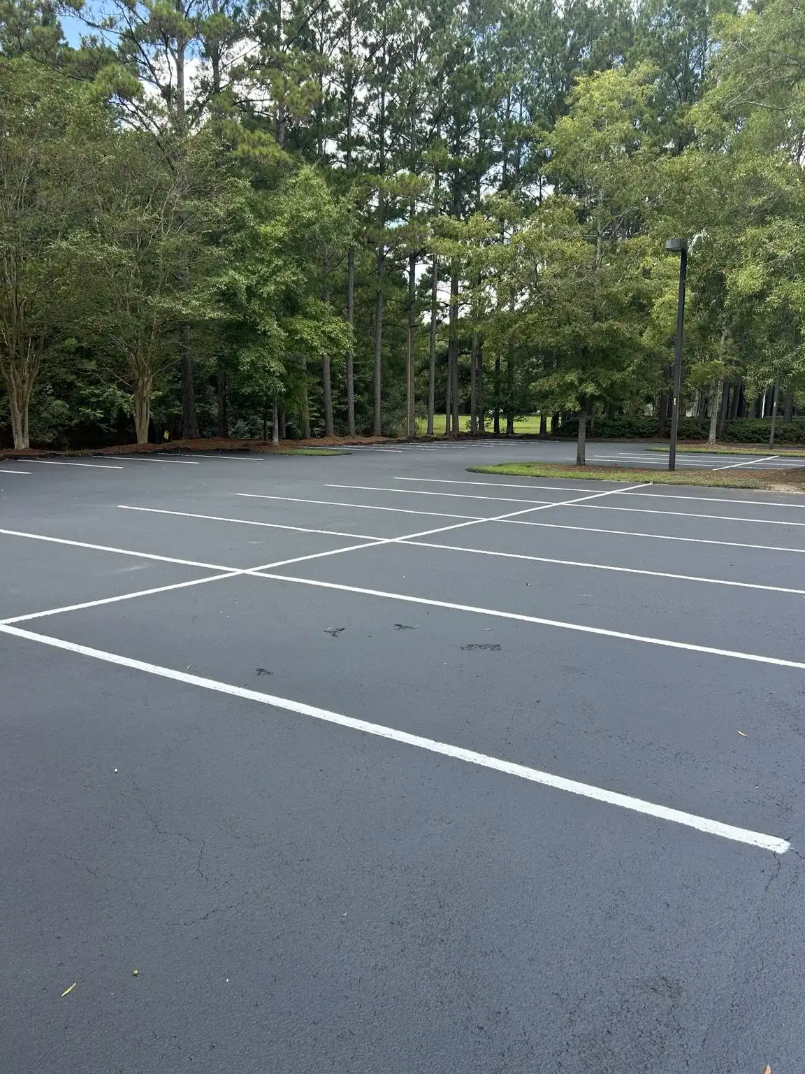 Fresh dark sealcoat with clean white parking stall lines in a wooded commercial lot